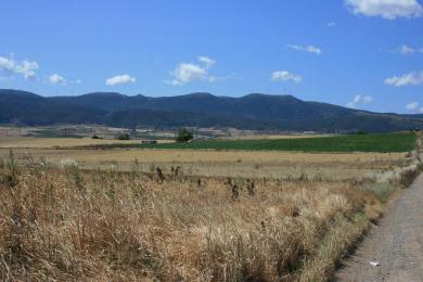 Agricultural Land προς Sale - Thiva, Boetia